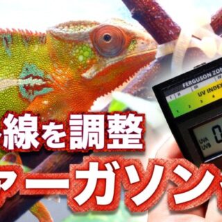 b7b0a39e35328312da8c81196c8d65