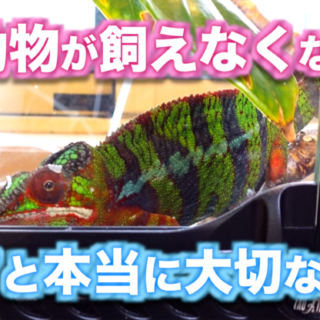 e402420ae4844e62aeada5fc6cb12f